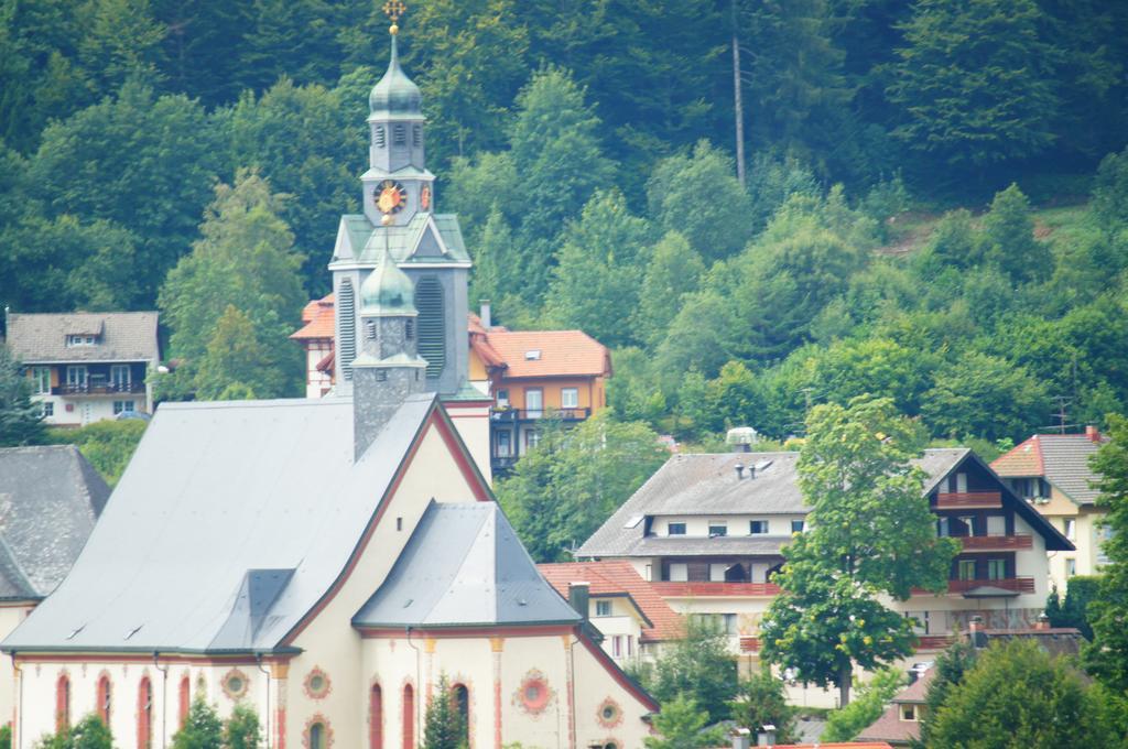 Haus Herzogenhorn Apartman Todtmoos Kültér fotó